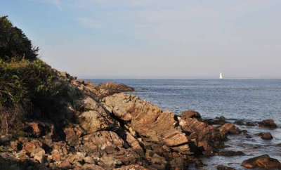 Sailing Away