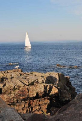 Sailboat Delight