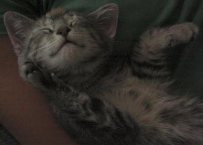 Resting Comfortably