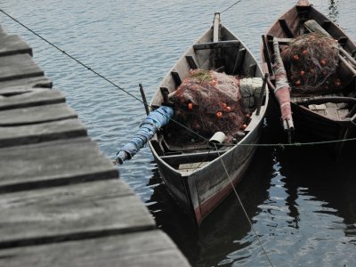 Fishing Gears