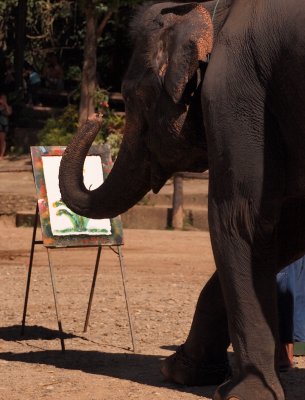 The painter at work  - it is said that elephants don't forget!