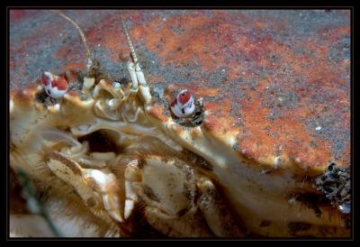 redondo_6_28_06