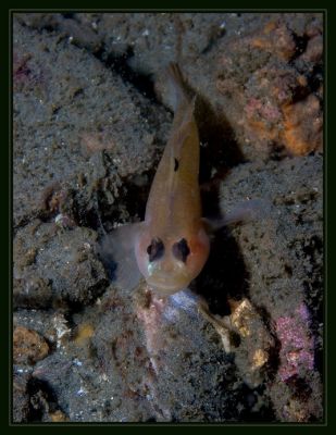 redondo_7_13_06