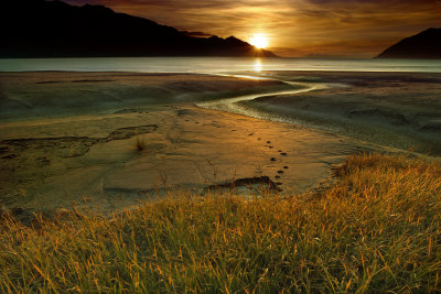 9-10-04 SunsetBeachGrass3_6968 (D60 17-40L)