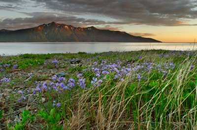 5-31-04_WindyPoint_15mmFE_D60