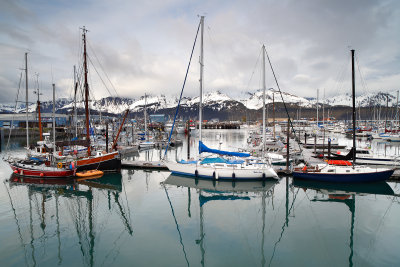 5-26-12_5960_Seward (24mm TSE MkII)