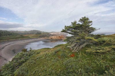 _MG_8147.JPG