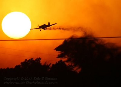 Dusting - IMG_2611.JPG