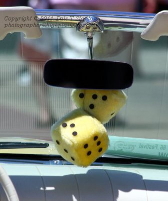 Fuzzy Dice - IMG_2851.JPG