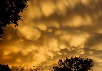 Mammatus - IMG_0979.JPG
