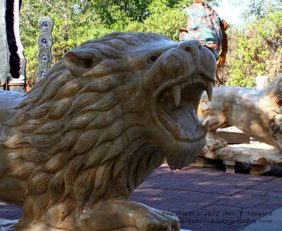 Leo - IMG_2223.JPG