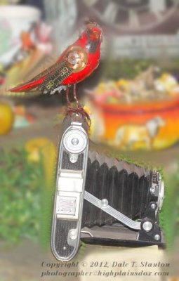 Steampunked Cardinal - IMG_2120.JPG