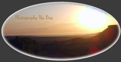 Sunrise Over The Panhandle - Oval