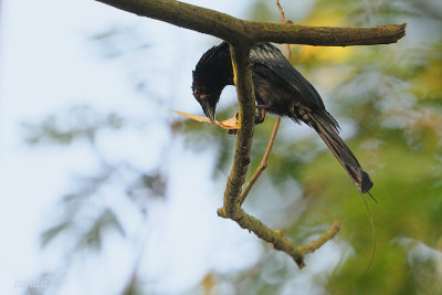 DSC_5282.jpg