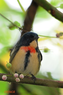 DSC_6746.jpg
