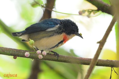 DSC_6743.jpg