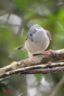 DSC_6021.jpg