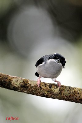 DSC_6014.jpg