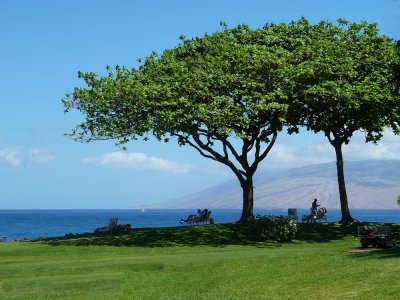 Hawaii by Land and Sea