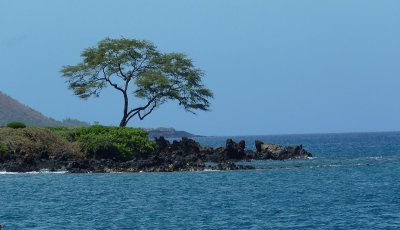P1020688_3.JPG