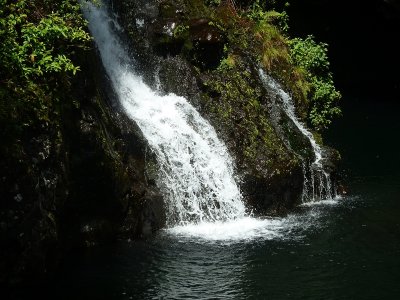 P1020337_3.JPG