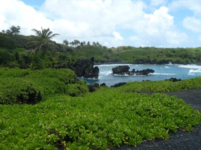 P1020414_3.JPG