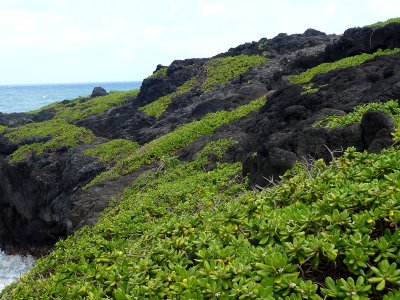 P1020546_3.JPG