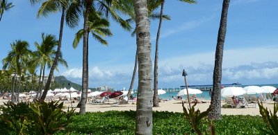 waikiki_3.JPG