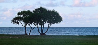 North Shore11.JPG