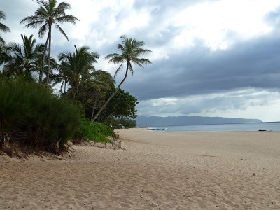 North Shore2.JPG
