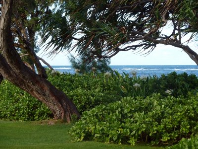 North Shore5.JPG