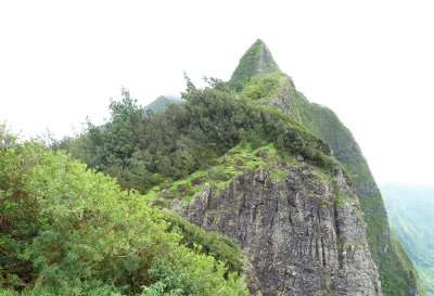 P1010825_2.JPG
