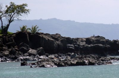 P1010856_2.JPG