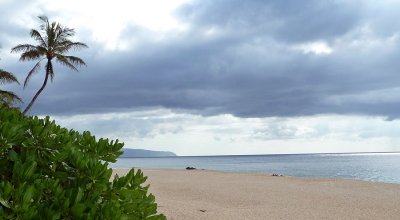 P1010895_2.JPG