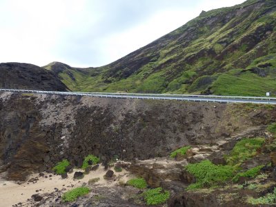 P1010982_2.JPG