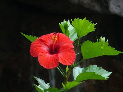 P1020175_2.JPG