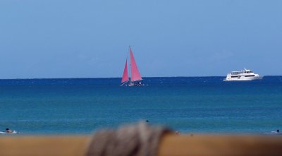 P1020206_2.JPG
