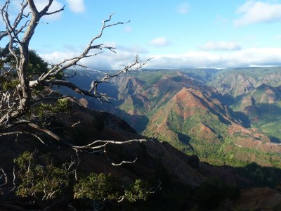 P1030206_2.JPG