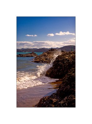 Whangaumu at Low Tide