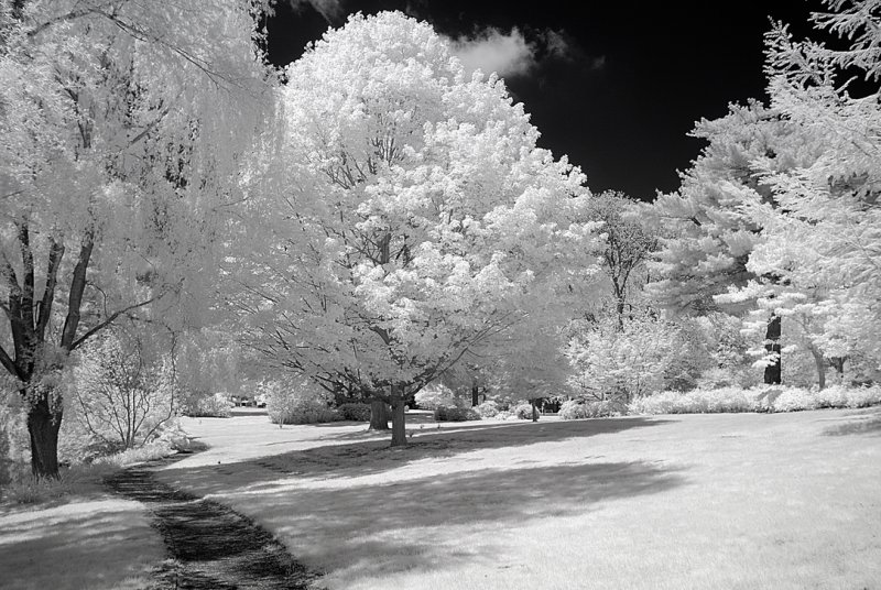 Resize of _DSC0020.jpg