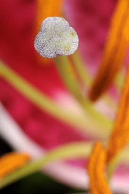 Resize of _DSC5492.jpg