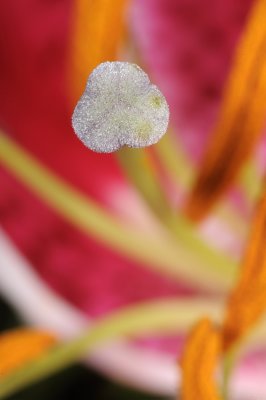 Resize of _DSC5508.jpg