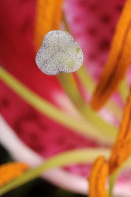 Resize of _DSC5510.jpg
