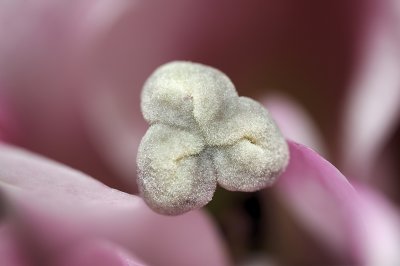 Resize of _DSC5838.jpg