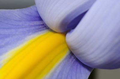 Resize of _DSC5968.jpg