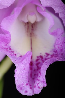 Resize of _DSC6216.jpg