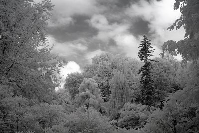 Resize of _DSC2104.jpg