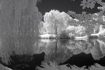 Resize of _DSC0711.jpg