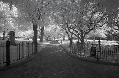 Resize of _DSC2072.jpg