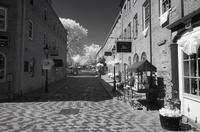 Resize of _DSC2126.jpg